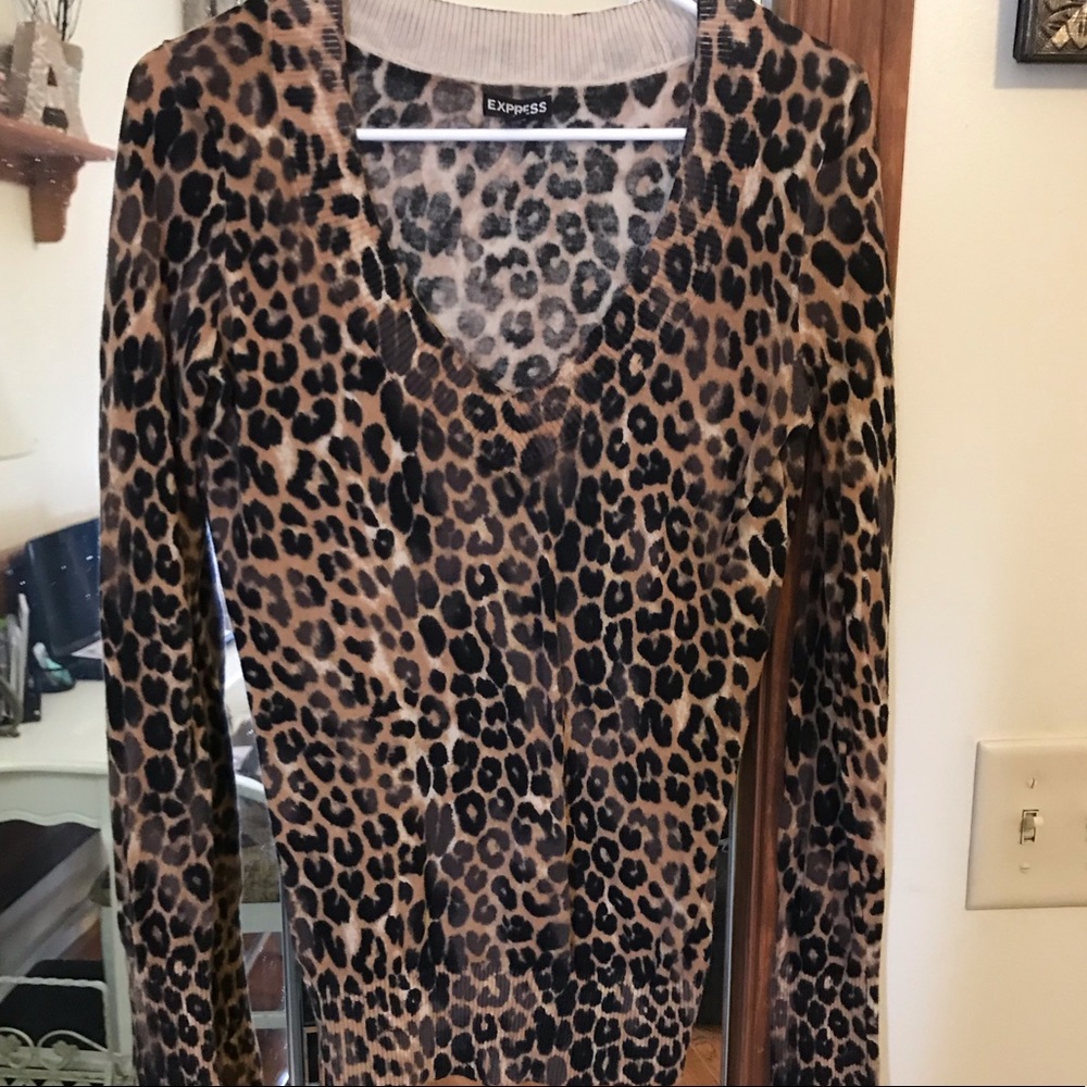Express sweater